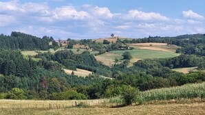 Paisaje rural con colinas onduladas, viñedos y edificios dispersos.