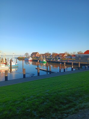 Port esportiu