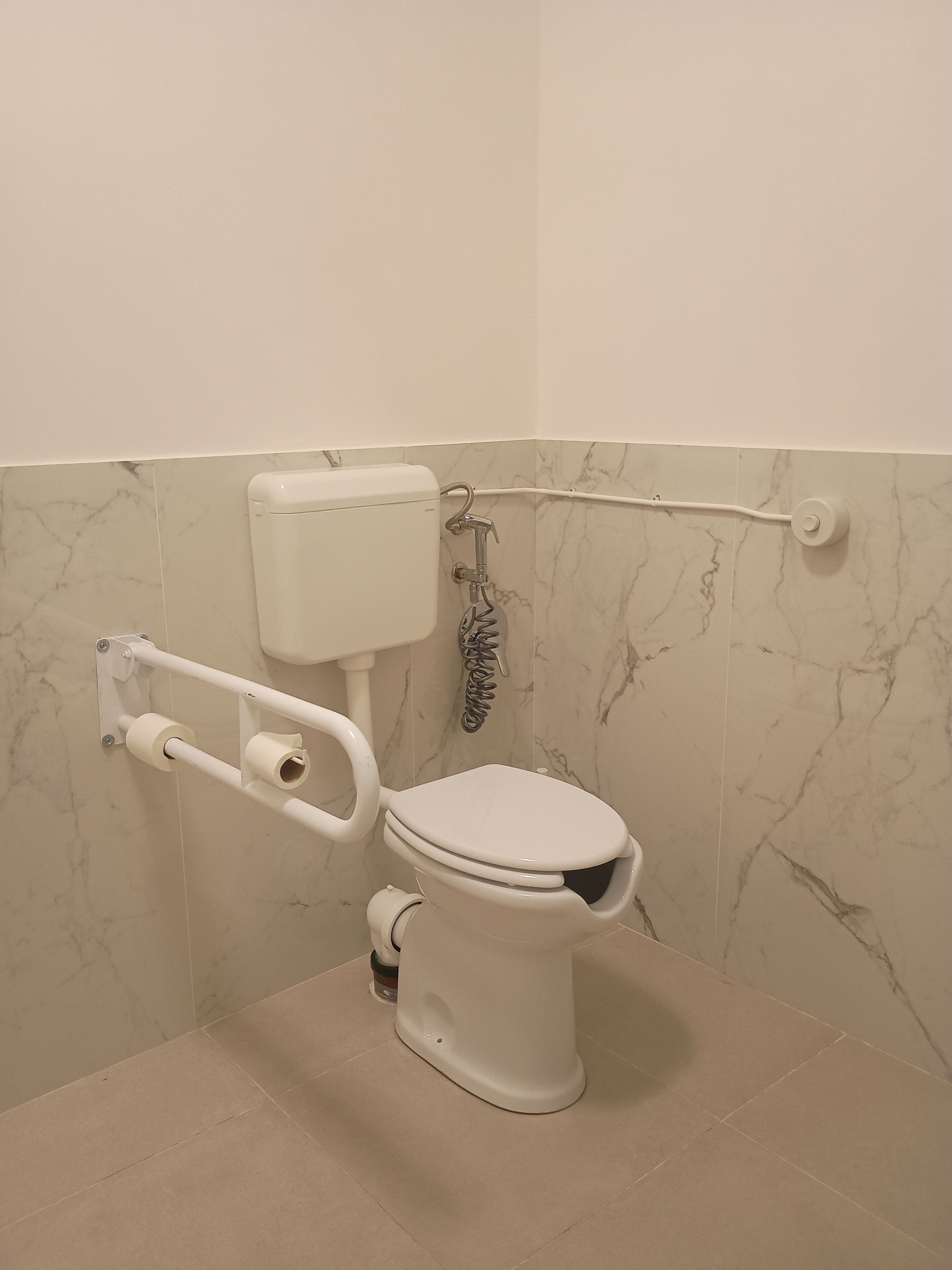 A toilet with a grab bar, a toilet paper holder, and a bidet attachment.