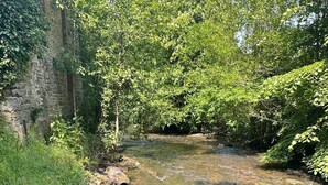 Une rivière traverse une zone boisée, et un mur de pierres borde l’un de ses rives.