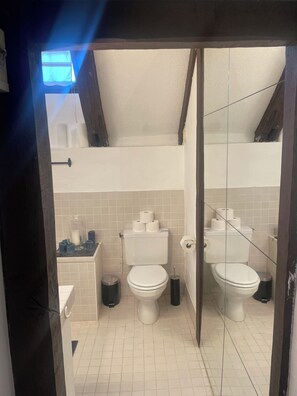 Secador de cabelo, toalhas de banho, papel higiênico