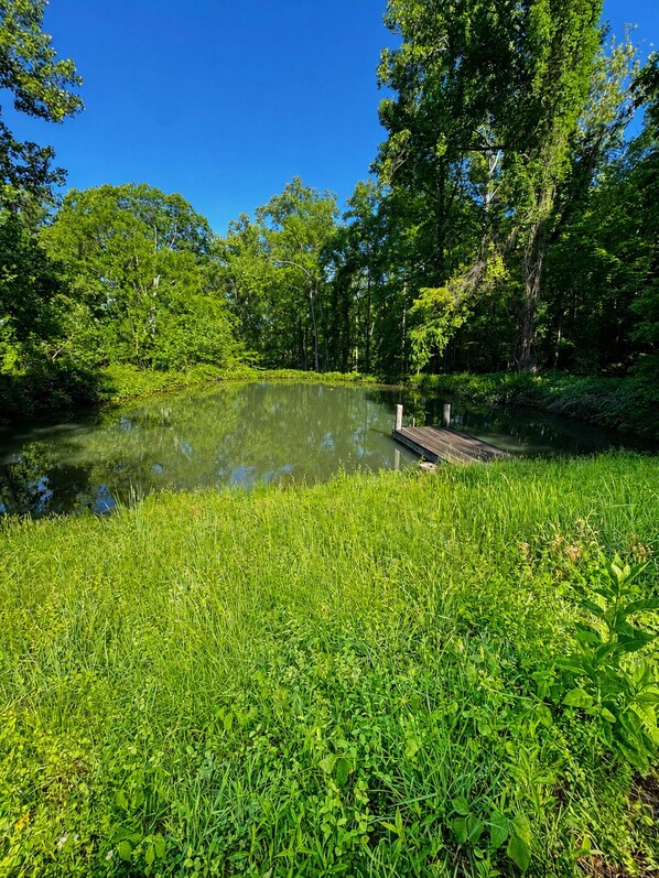 A tranquil pond surrounded by lush greenery and a wooden dock.