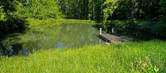 Private 12-Acre Mountain Retreat - Hot Tub, Pond & Creek minutes from Asheville