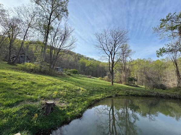 A serene landscape with a pond, trees, and a small house.