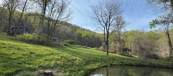Private 12-acre retreat with hot tub, trails, pond and creek near Asheville