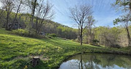 Private 12-acre retreat with hot tub, trails, pond and creek near Asheville