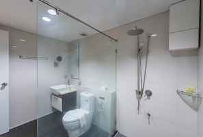 A modern bathroom with a glass shower enclosure, a toilet, a sink, and a mirror.
