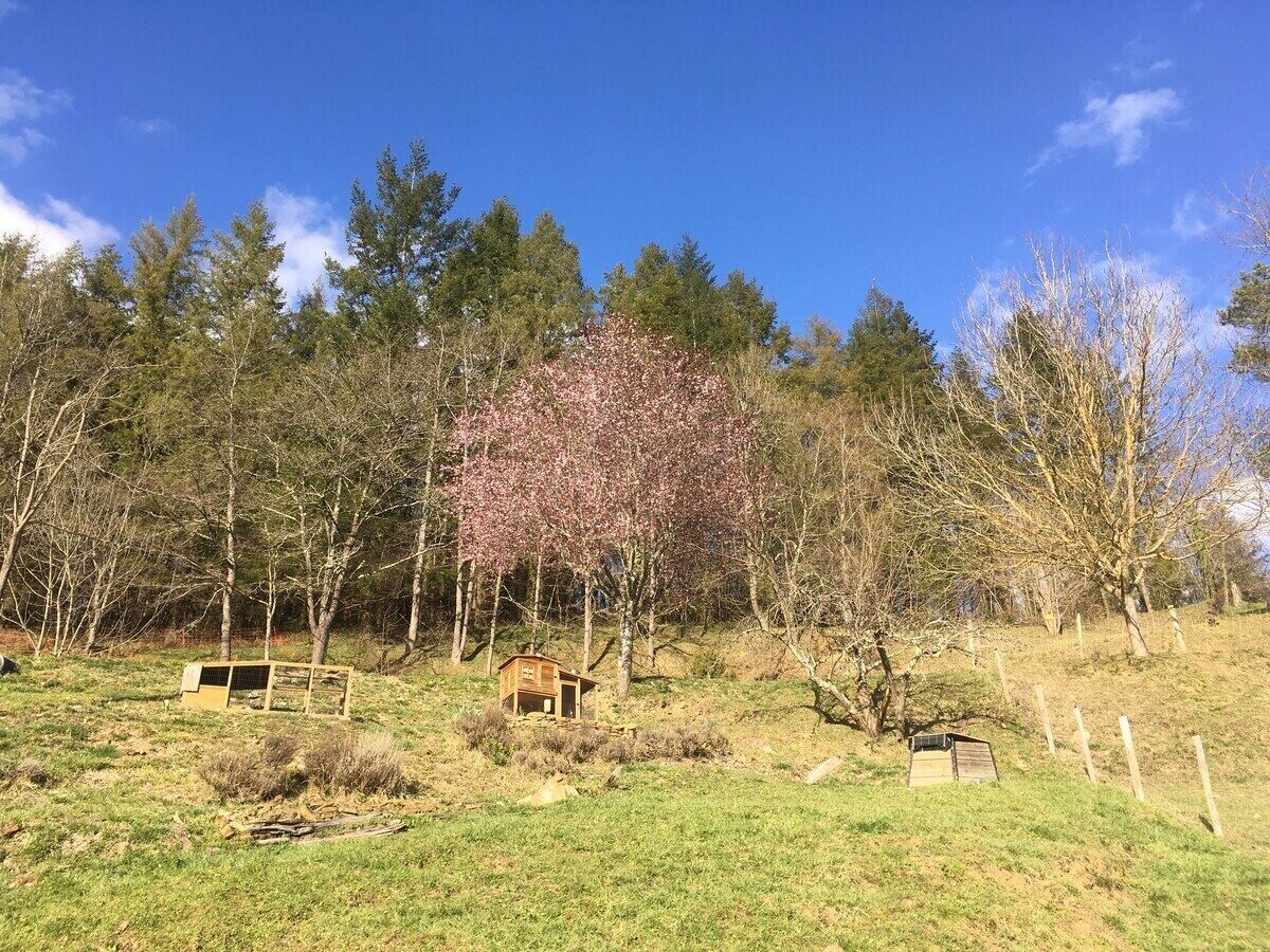 A rural landscape with a fenced area, a small wooden structure, and trees.