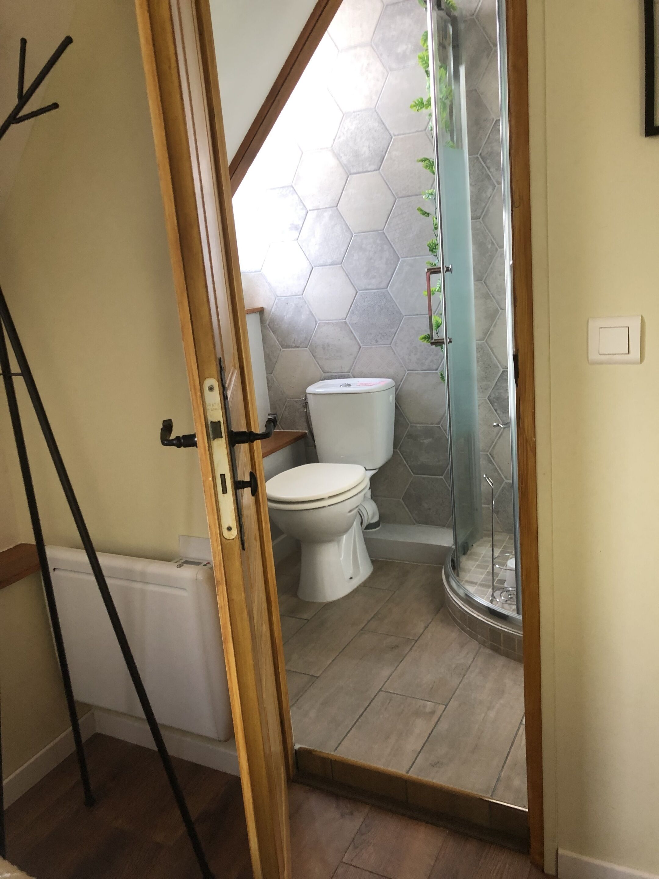 A bathroom with a toilet, shower, and a glass door leading to a shower area.