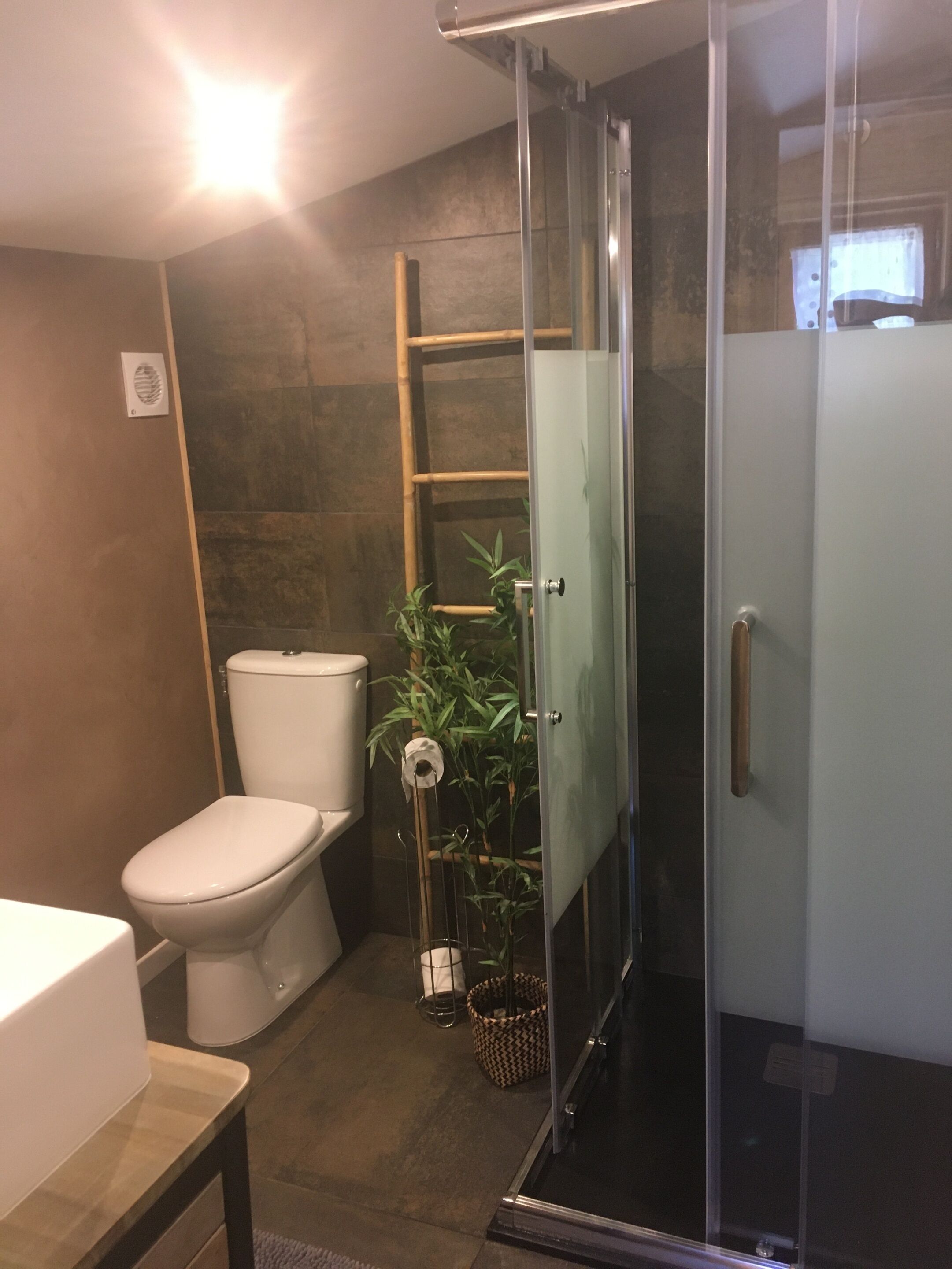 Ein modernes Badezimmer mit Duschkabine aus Glas, Toilette und einer kleinen Pflanze.