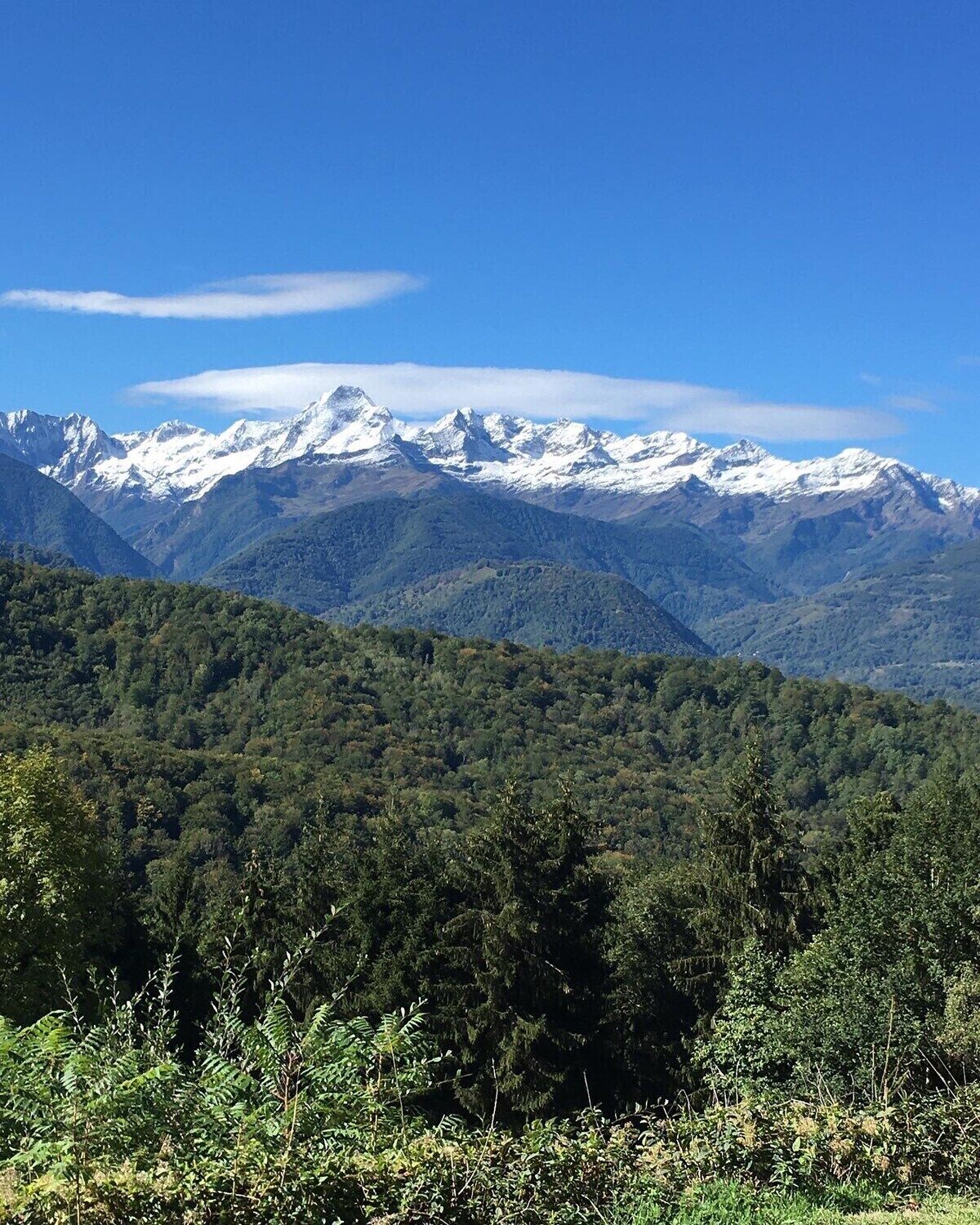 Paisaje montañoso con bosque denso y picos nevados bajo un cielo despejado.