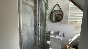 A modern bathroom with a glass-enclosed shower, a toilet, and a mirror on the wall.