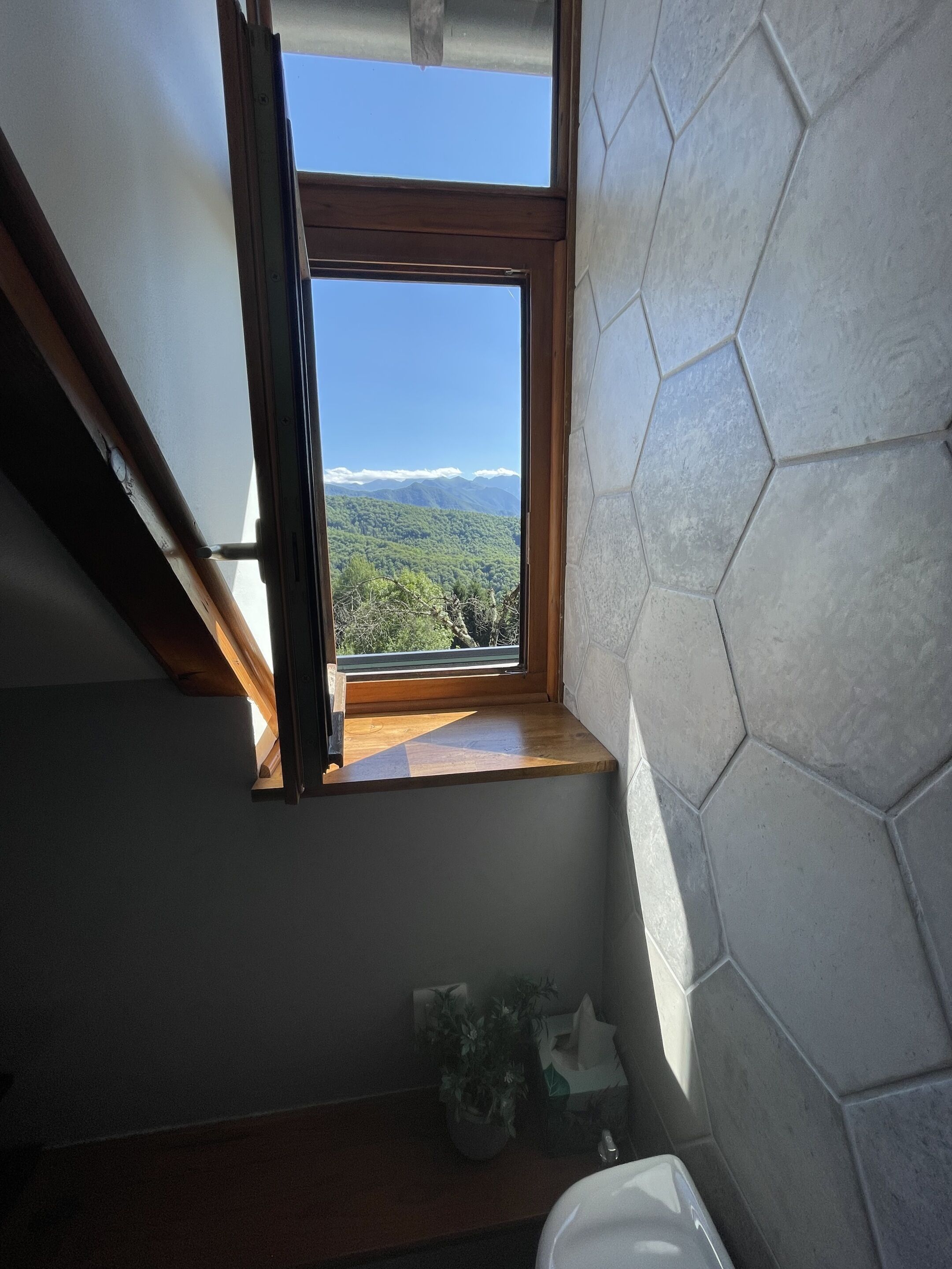 Un baño con tragaluz, banco de madera, planta en maceta y lavamanos blanco.