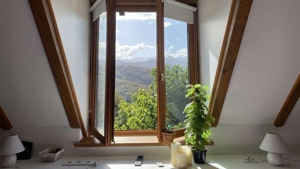 A room with a skylight, a potted plant, and a table with a lamp. - La Bernadole (Aleu)