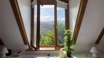 Habitación panorámica doble, vistas a la montaña | Wifi gratis
