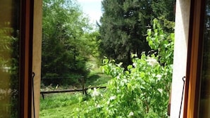 Oklassificerad bild, 4 av 13, knapp