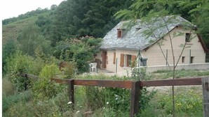 Oklassificerad bild, 3 av 13, knapp