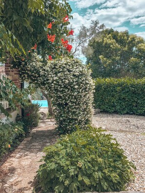 Ein Garten mit Hecke, Backsteinmauer und Schwimmteich.