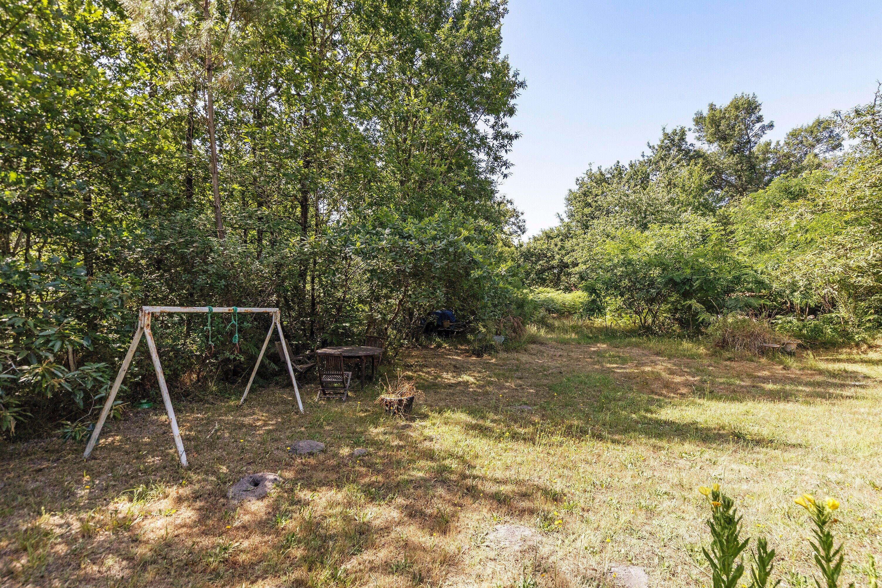 A grassy outdoor area with a swing set and a wooden bench.