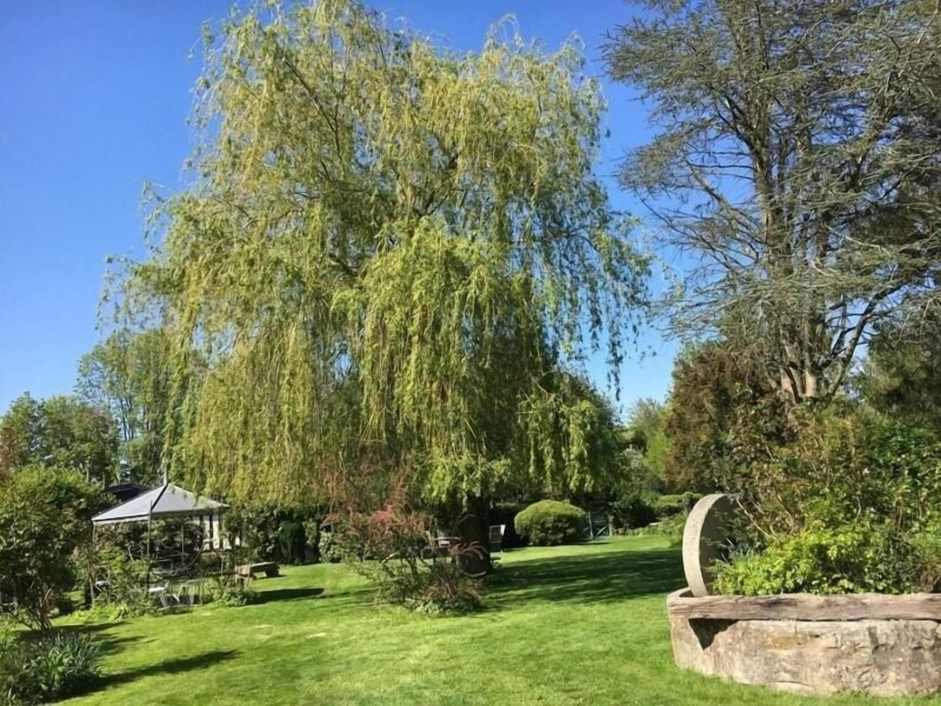 A garden with a large weeping willow tree, a gazebo, and a stone planter.