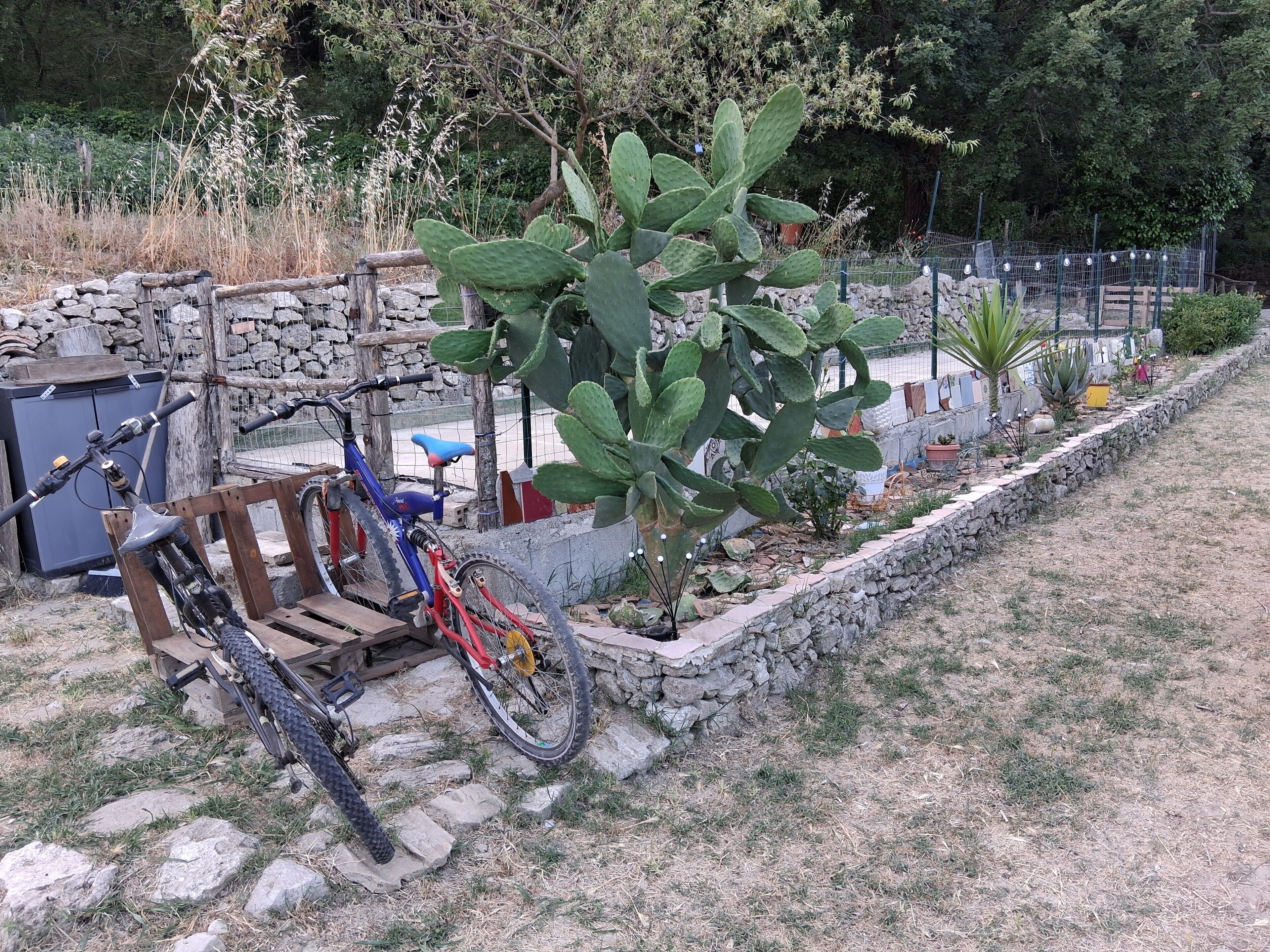 Jardines del alojamiento
