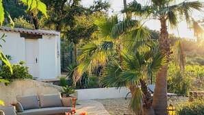 An outdoor seating area with a sofa and chairs, a table with drinks, and a palm tree. - Estate with olive grove near Grimaud (Cogolin)