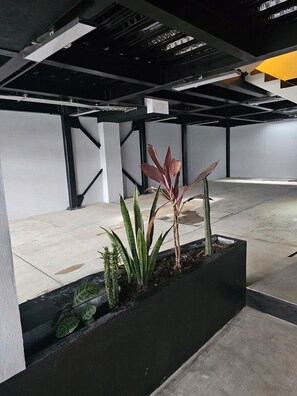 An indoor space with a concrete floor, metal beams, and a planter with various plants.