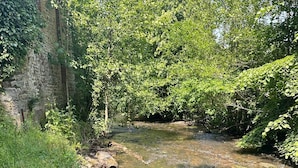 Une rivière traverse une zone boisée, et un mur de pierres borde l’un de ses rives.