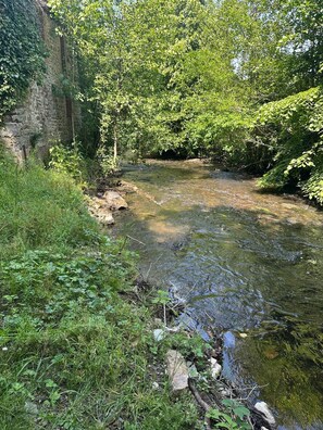 A river flowing through a wooded area with a stone wall on one side. - Fleury Mill Manor (Villedieu-les-Poêles-Rouffigny)