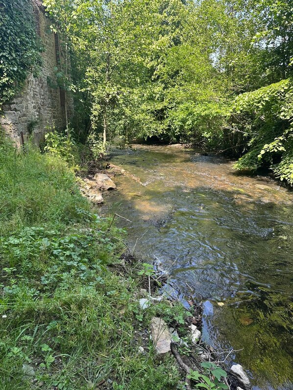A river flowing through a wooded area with a stone wall on one side.