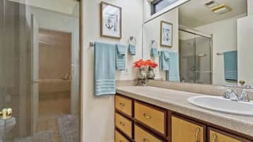 Shower, hair dryer, shampoo