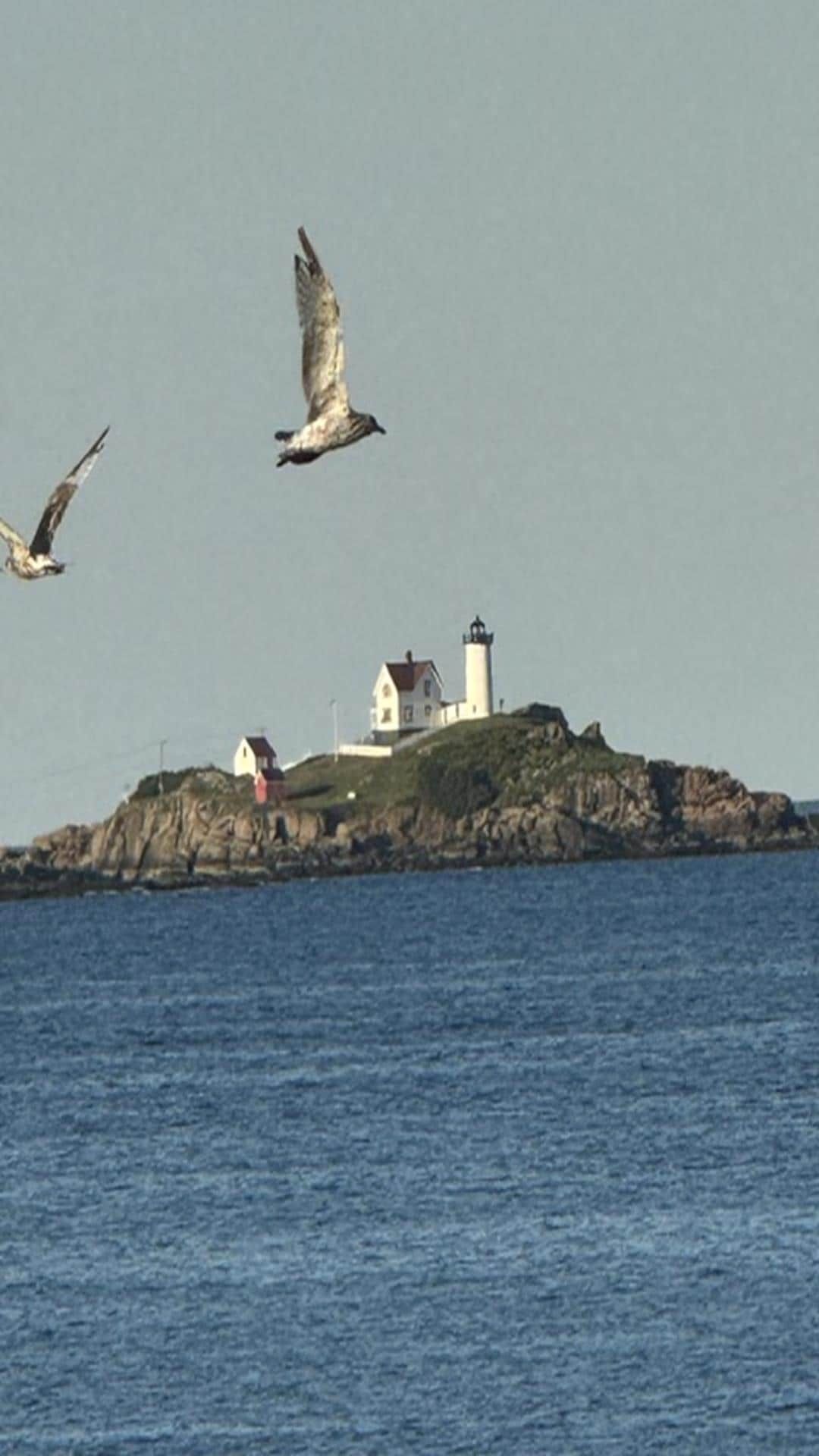 A coastal scene with a lighthouse and a small white building on a rocky outcrop.