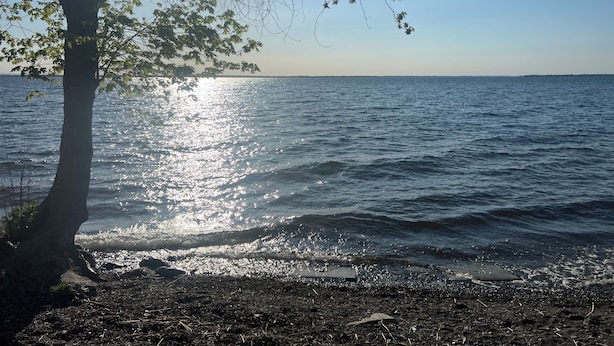 A beach with a tree and the sun reflecting on the water. - Golden Hour Shore House (Swanton)