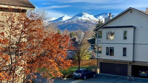 Ein Wohngebiet mit einem zweistöckigen Haus, einer Garage und einem Auto auf der Einfahrt.