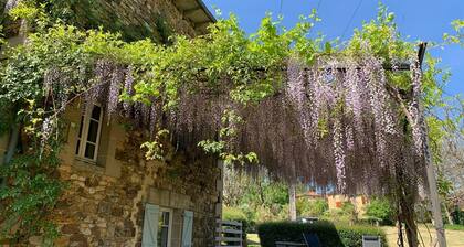 Peaceful countryside family friendly gite (6) & panoramic heated pool.