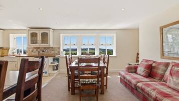 TV, fireplace, DVD player, books