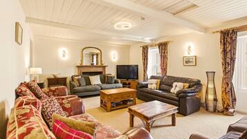 TV, fireplace, DVD player, books