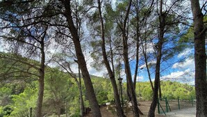Ein bewaldetes Gebiet mit einem Feldweg, einem Zaun und einem Laternenpfahl.