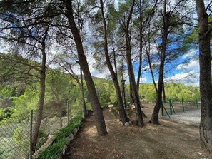 A forested area with a dirt path, a fence, and a lamp post. - La Rincona House, Chulilla (Chulilla)