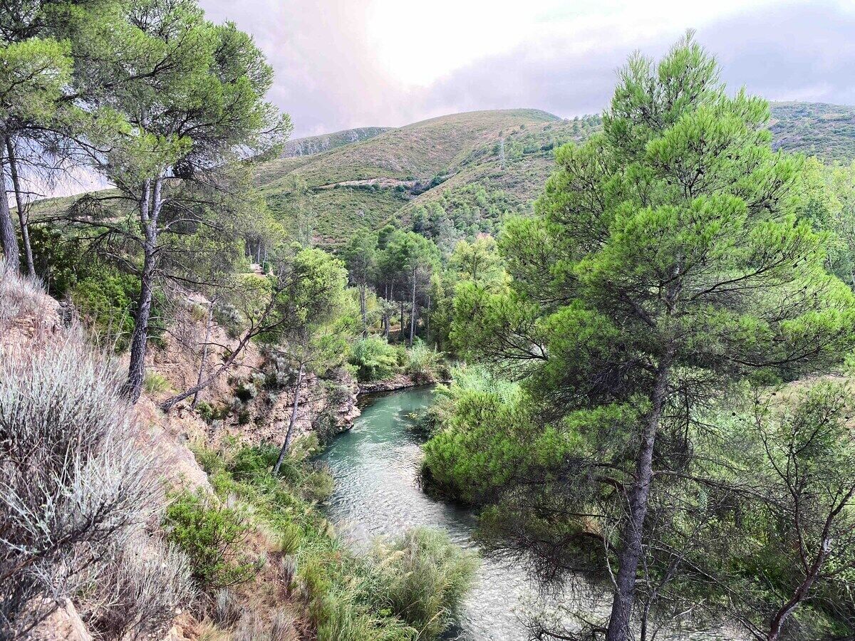 Une rivière qui traverse une zone boisée, avec des collines en arrière-plan.