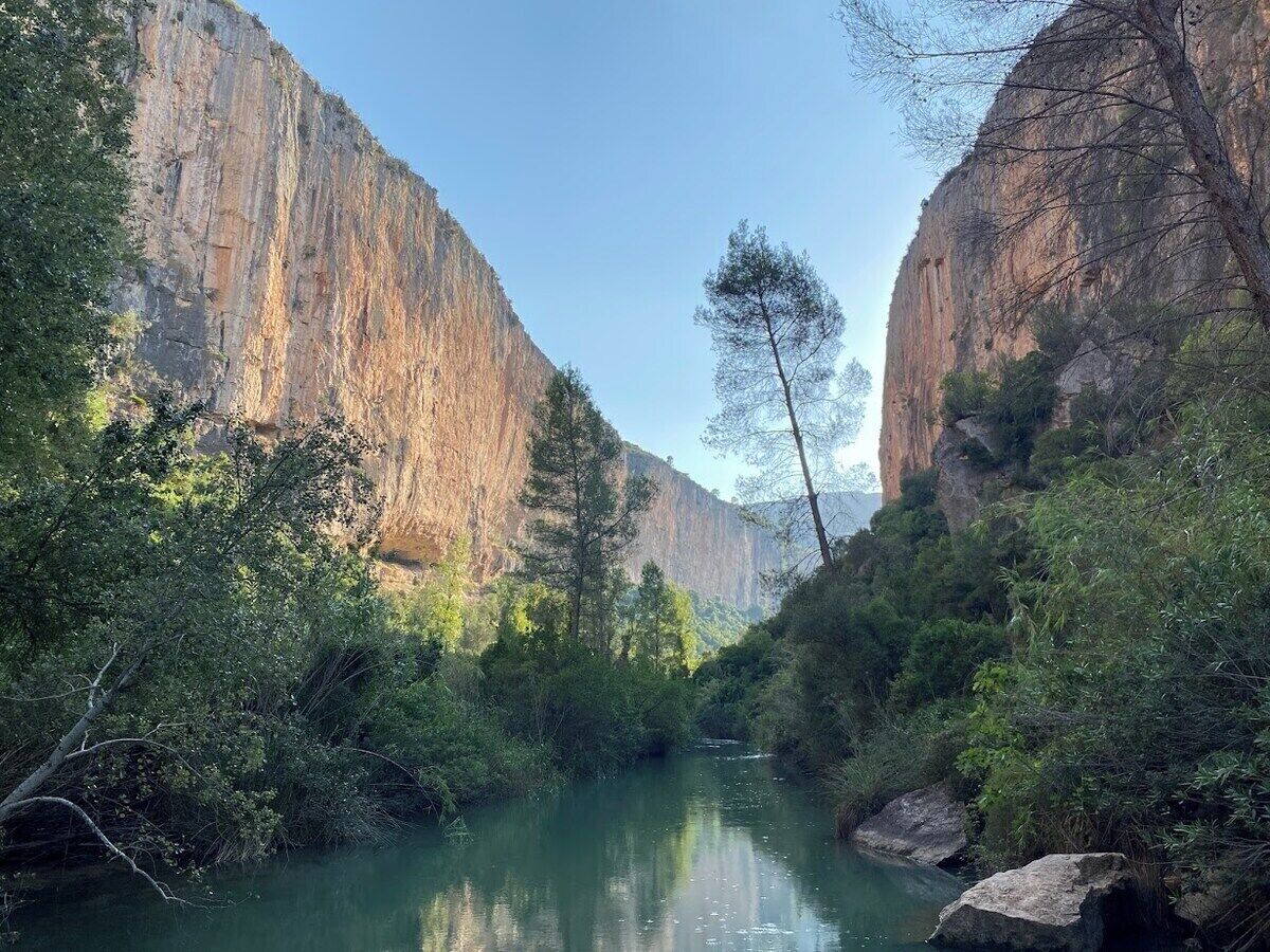 منوع