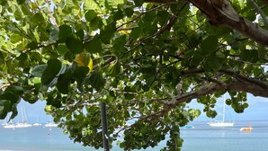 A beach with a table and chairs under a tree, a sandy shore, and boats in the water. - The House on the Beach (Saint-Pierre)