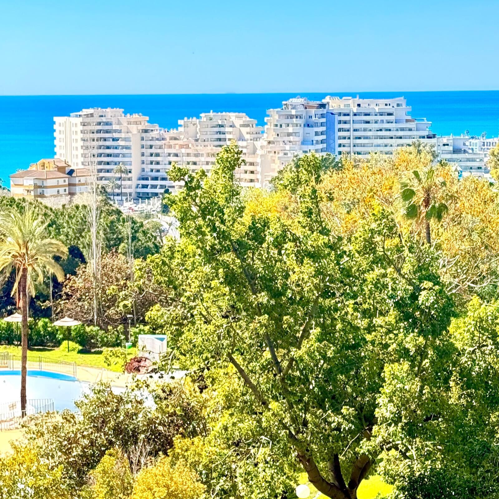A coastal cityscape with modern buildings, a clear blue sky, and lush greenery.