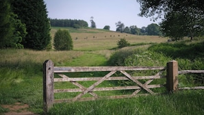 Una rústica puerta de madera en un campo cubierto de hierba, con un sendero despejado que la atraviesa.
