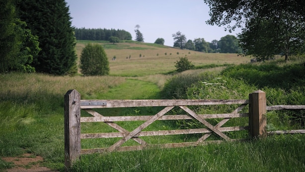 Une porte en bois rustique, installée dans un champ verdoyant, avec un chemin bien tracé qui la traverse.