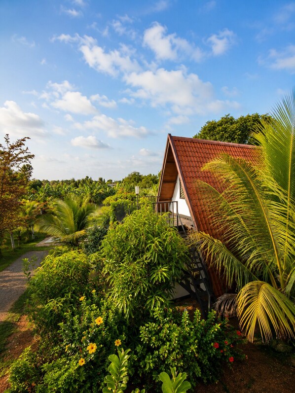 A house with a red roof, surrounded by lush greenery and a clear blue sky.