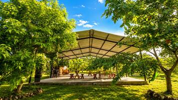 Teres/patio