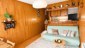 En hyggelig stue med en sofa, et lille bord, et fjernsyn, trævægge og en hængende lampe.
