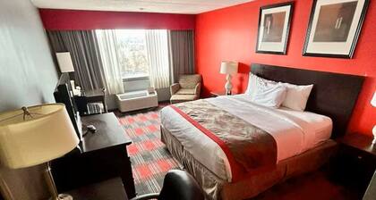 Albany Marvelous Room with Breakfast Next Downtown