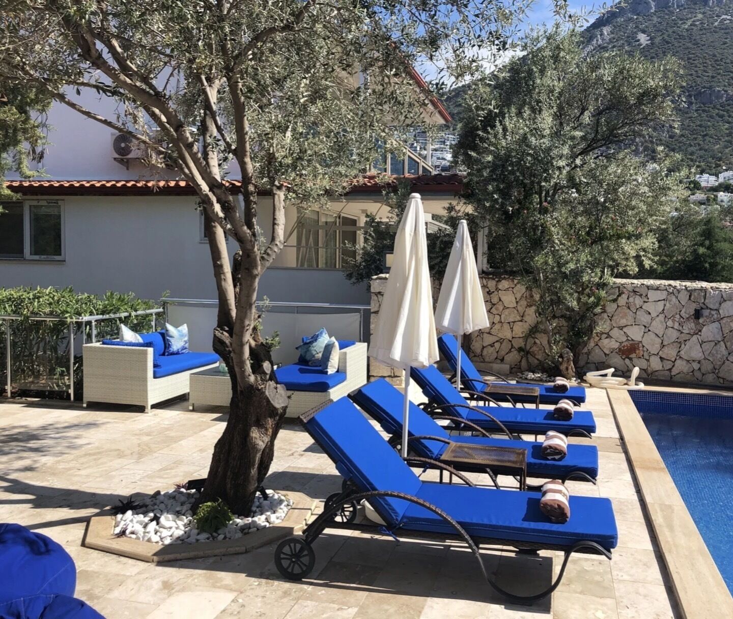 A poolside area with lounge chairs and umbrellas, a tree, and a stone wall.
